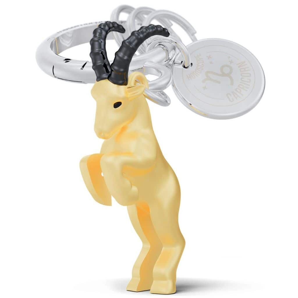 Metalmorphose - Keychain - Zodiac Sign