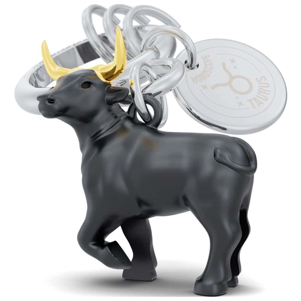 Metalmorphose - Keychain - Zodiac Sign