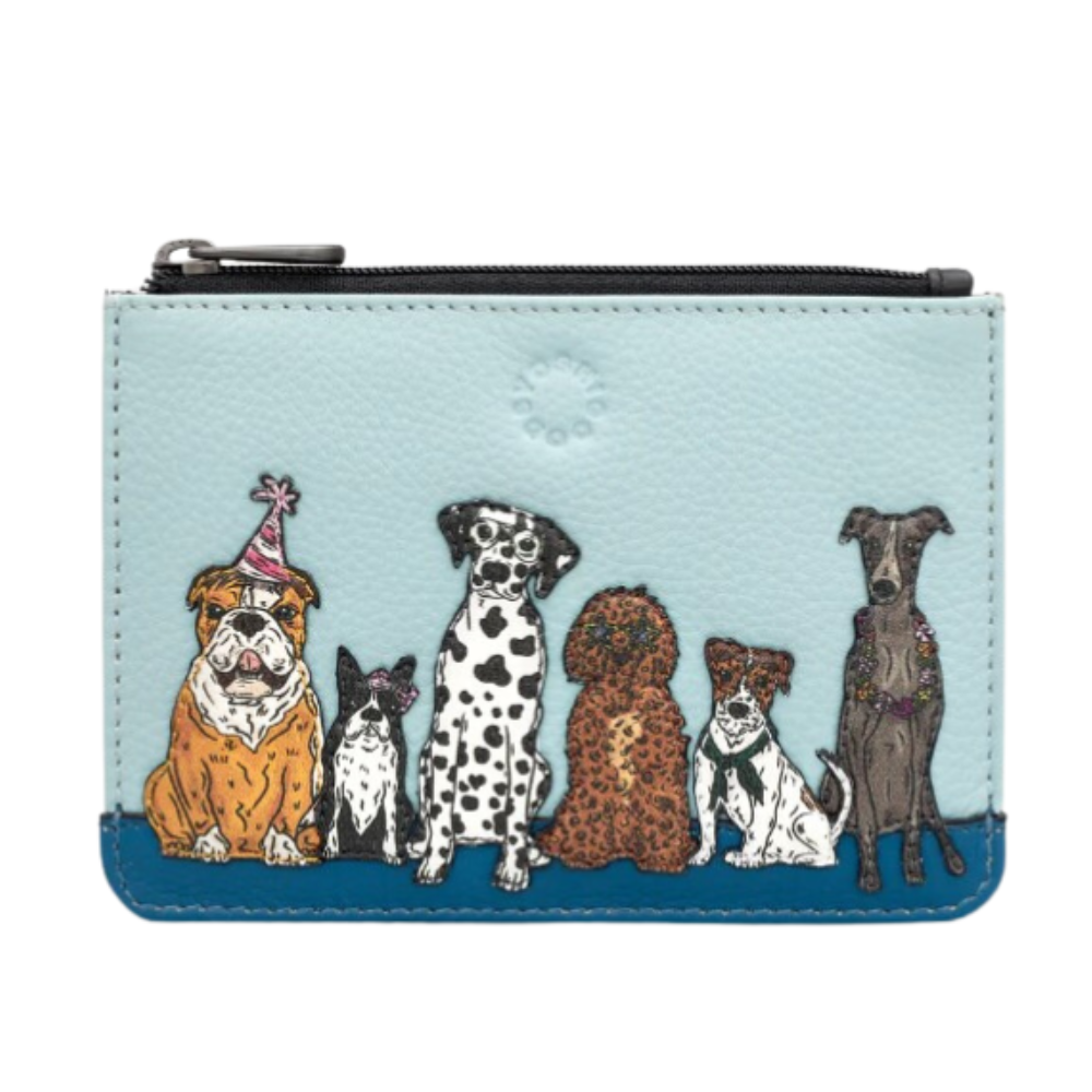 (Y1321) Leather Purse – Party Hounds